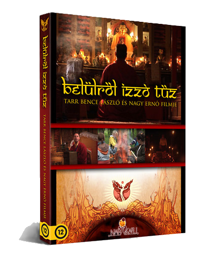 The Fire Within DVD cover