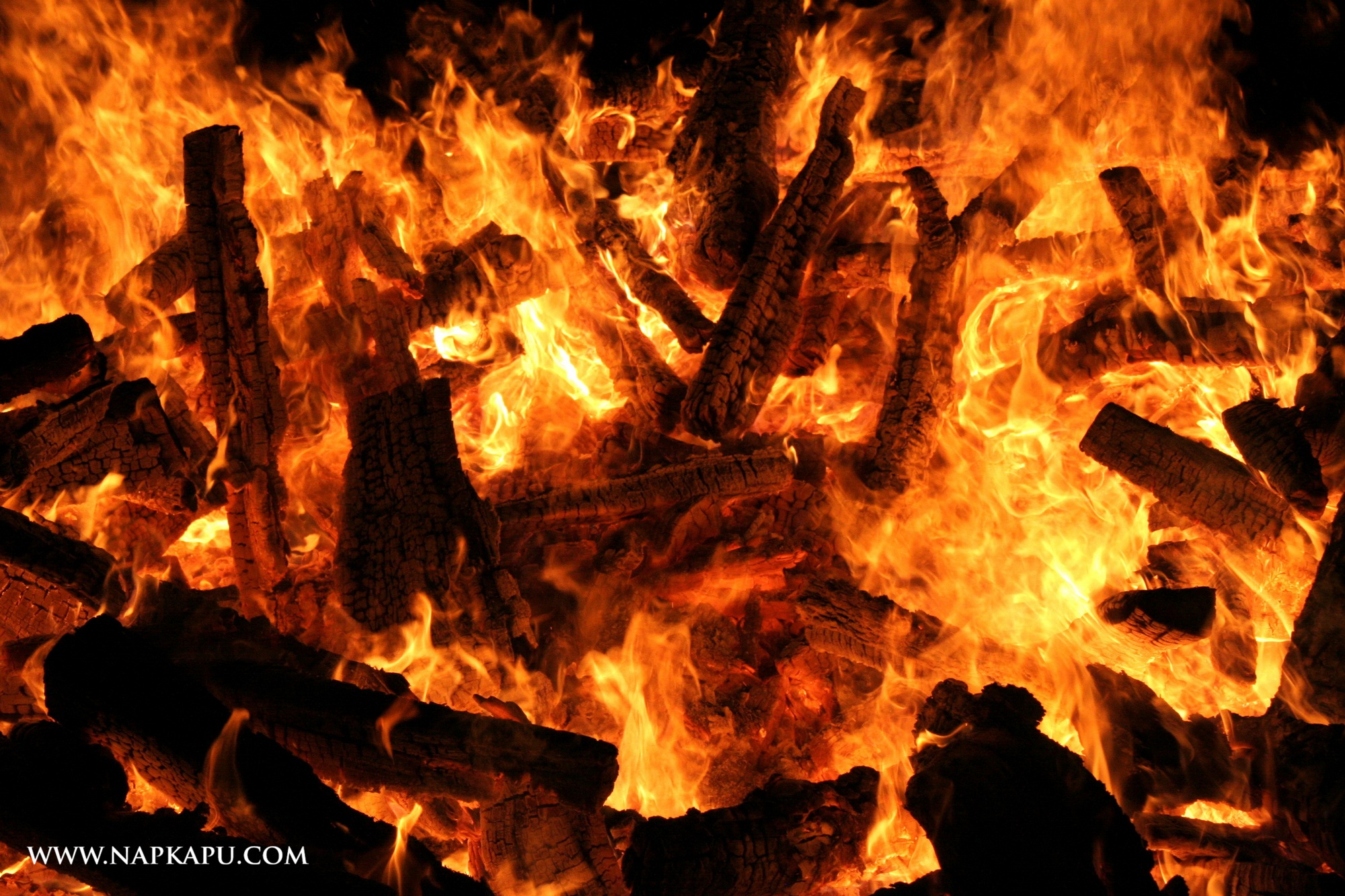 Close view of burning logs and intense flames