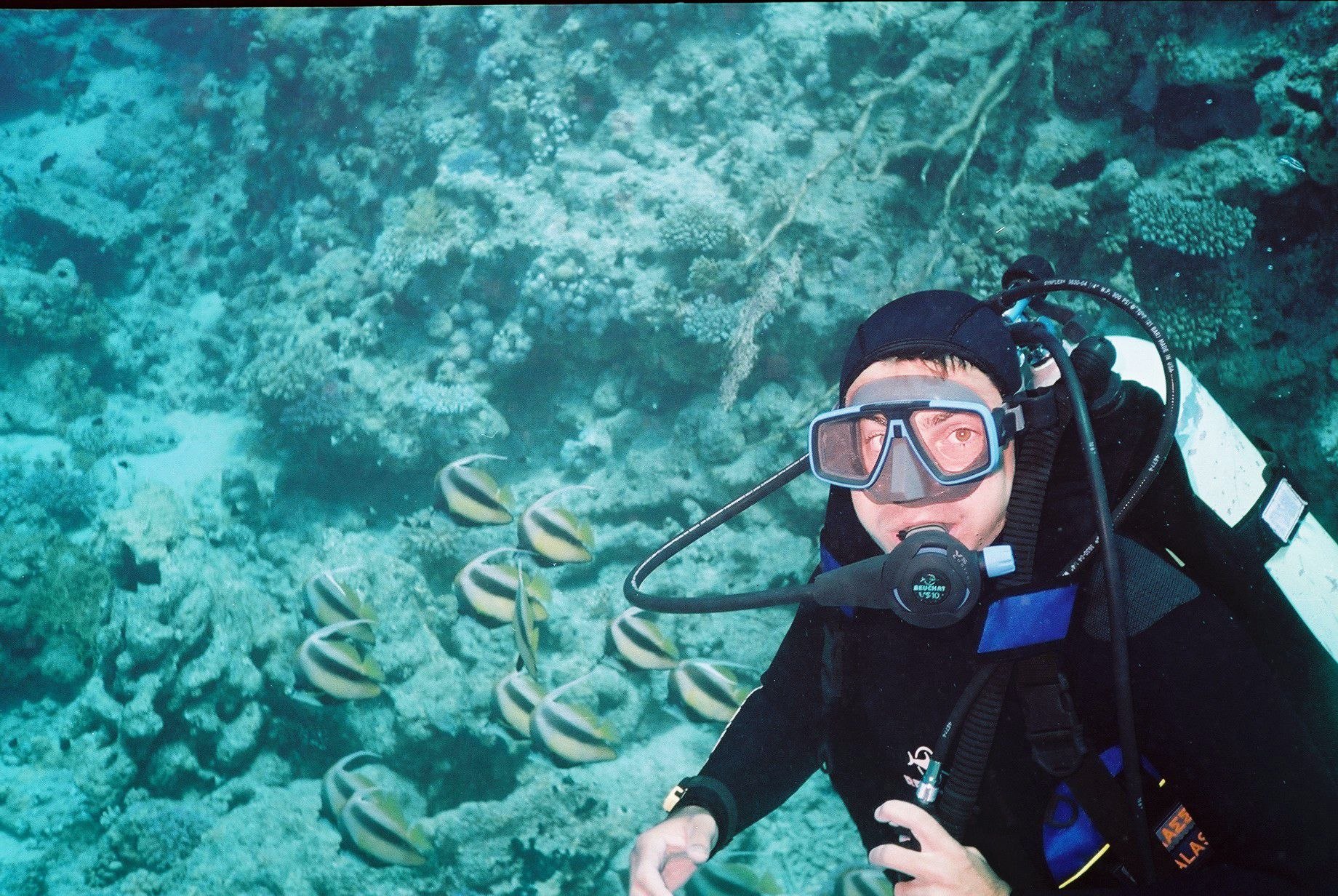 A scuba diver moving calmly above a coral landscape
